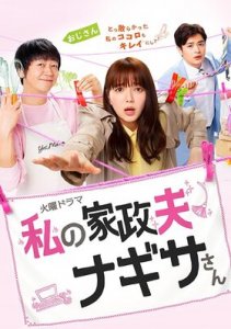 Мой домработник мистер Нагиса